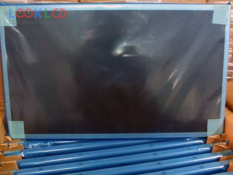 T216XW01 V0